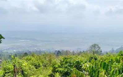 Kabut Asap Masih Menyelimuti Sejumlah Wilayah Jambi Hari Ini, Sungai Penuh dan Kerinci Paling Terpengaruh