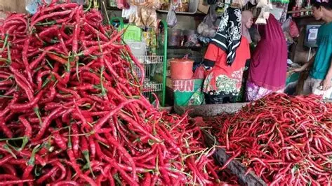 Harga Cabai Rawit Merah di Pasar Talang Banjar Hari Ini Turun 20 Persen, Bawang Merah Naik
