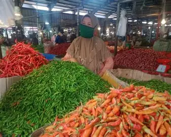 Harga Cabai Rawit Merah di Pasar Angso Duo Jambi Turun Jadi Rp30.000 per Kg