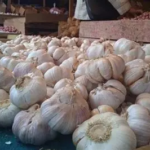 Harga Sembako di Pasar Talang Banjar Jambi Stabil, Bawang Putih Naik 20 Persen per 9 Juni 2026