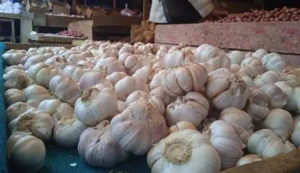 Harga Sembako di Pasar Talang Banjar Jambi Stabil, Bawang Putih Naik 20 Persen per 9 Juni 2026