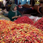 Harga Cabai di Pasar Talang Banjar Jambi Kompak Naik, Ayam Broiler Justru Turun