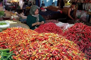 Harga Cabai di Pasar Talang Banjar Jambi Kompak Naik, Ayam Broiler Justru Turun
