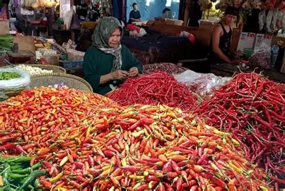 Harga Cabai di Pasar Talang Banjar Jambi Kompak Naik, Ayam Broiler Justru Turun