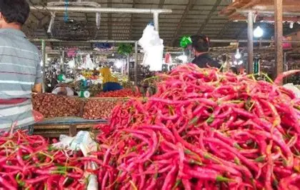 Harga Cabai Merah Naik, Cabai Rawit Merah Turun di Pasar Angso Duo Jambi 