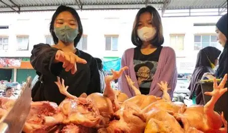 Harga Sembako di Pasar Kasang Jambi Stabil, Ayam Broiler dan Cabai Rawit Hijau Naik per 9 Juni 2026