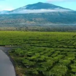 Kerinci dan Sungai Penuh Berpotensi Hujan, Kota Jambi Berawan