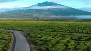 Kerinci dan Sungai Penuh Berpotensi Hujan, Kota Jambi Berawan