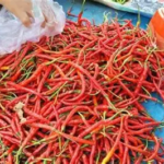 Harga Sembako di Pasar Talang Banjar Jambi 18 September 2026, Cabai Merah Turun