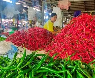 Harga Sembako di Pasar Angso Duo Jambi Hari Ini, Ayam Naik dan Cabai Rawit Hijau Turun