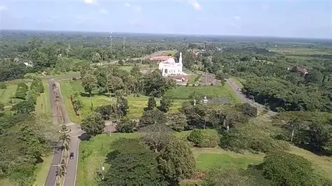 Tanjung Jabung Timur Punya Potensi Bisnis Berbeda, Ini yang Perlu Dilihat Pengusaha