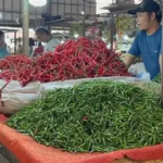 Harga Cabai Hijau di Pasar Angso Duo Hari Ini Turun, Cabai Merah Naik Hingga 2,22 Persen