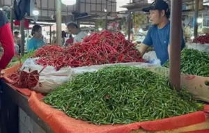 Harga Cabai Hijau di Pasar Angso Duo Hari Ini Turun, Cabai Merah Naik Hingga 2,22 Persen