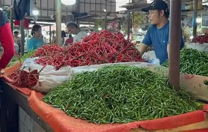 Harga Cabai Hijau di Pasar Angso Duo Hari Ini Turun, Cabai Merah Naik Hingga 2,22 Persen
