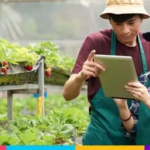 Bukan Cuma Jumlah Usaha, Infrastruktur Desa Jadi Kunci Membaca Potensi Bisnis Jambi 2026