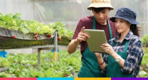 Bukan Cuma Jumlah Usaha, Infrastruktur Desa Jadi Kunci Membaca Potensi Bisnis Jambi 2026