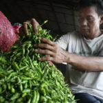 Harga Sembako di Pasar Angso Duo Jambi 30 September 2026, Cabai Rawit Hijau Naik 16,67 Persen