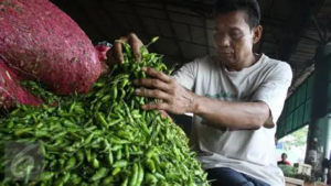 Harga Sembako di Pasar Angso Duo Jambi 30 September 2026, Cabai Rawit Hijau Naik 16,67 Persen