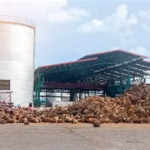 Hilirisasi Komoditas Mulai Buka Peluang Industri Baru di Jambi