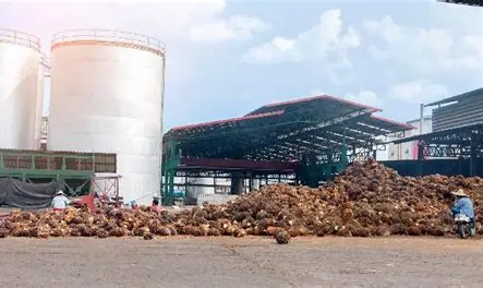 Hilirisasi Komoditas Mulai Buka Peluang Industri Baru di Jambi