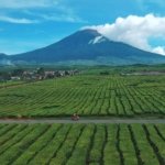 Wisata Kerinci Bisa Jadi Mesin Ekonomi Baru, Penginapan dan Pemandu Lokal Perlu Masuk Pasar Digital