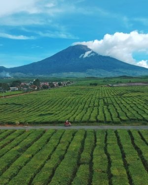 Wisata Kerinci Bisa Jadi Mesin Ekonomi Baru, Penginapan dan Pemandu Lokal Perlu Masuk Pasar Digital