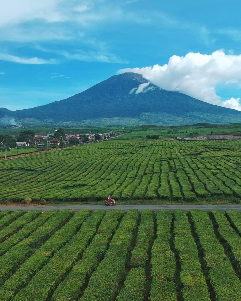 Wisata Kerinci Bisa Jadi Mesin Ekonomi Baru, Penginapan dan Pemandu Lokal Perlu Masuk Pasar Digital