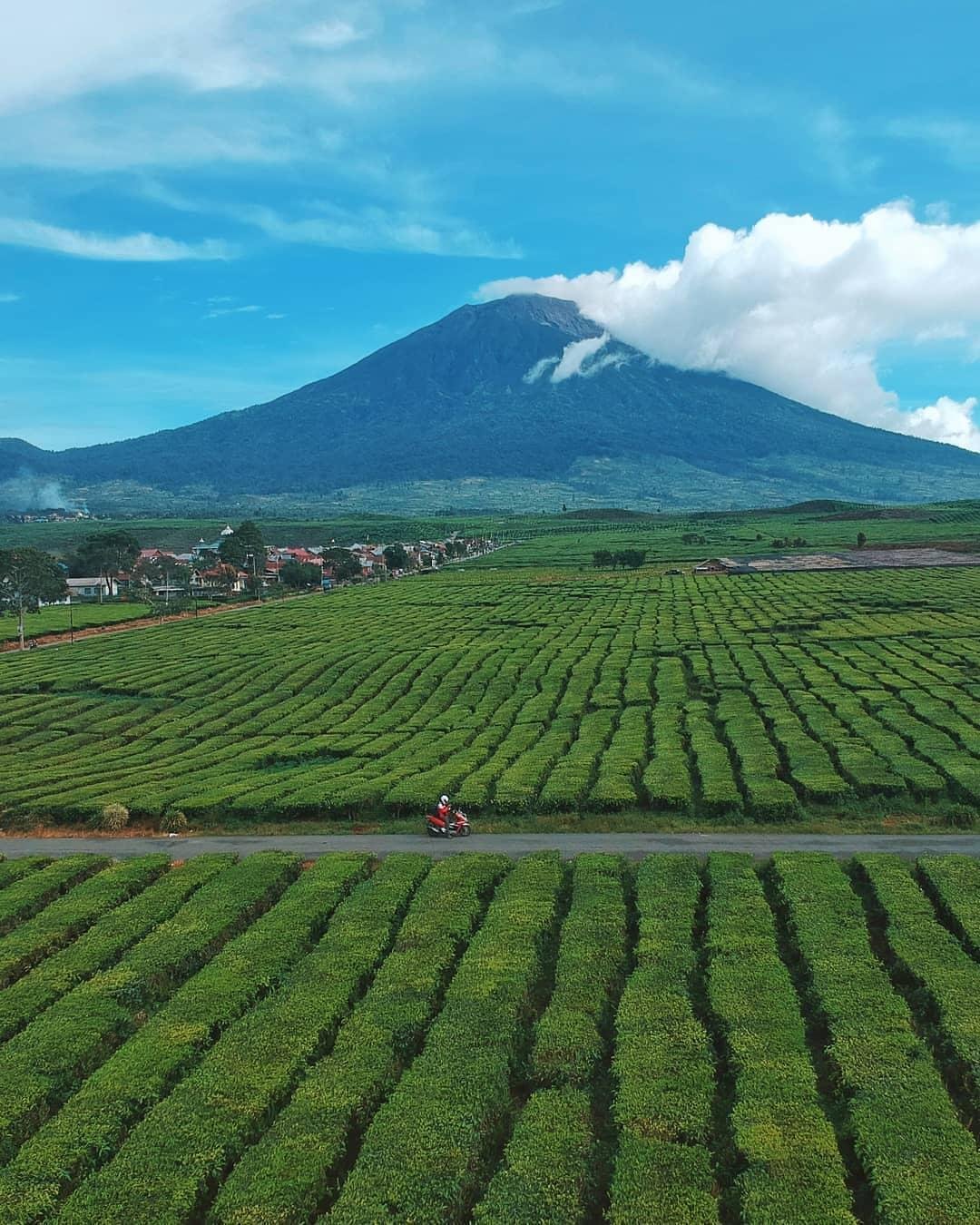 Wisata Kerinci Bisa Jadi Mesin Ekonomi Baru, Penginapan dan Pemandu Lokal Perlu Masuk Pasar Digital