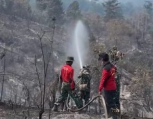Rp30 Miliar untuk Karhutla Jambi Masih Mengendap, Ini Penjelasan Pemprov Jambi