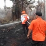 Karhutla di Tanjab Timur Hanguskan 4,5 Hektare Lahan, Ancam Aktivitas Ekonomi dan Perkebunan
