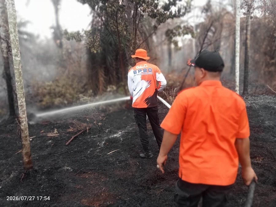 Karhutla di Tanjab Timur Hanguskan 4,5 Hektare Lahan, Ancam Aktivitas Ekonomi dan Perkebunan