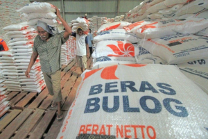 Bulog Siapkan Skema Tunjangan Beras untuk ASN hingga TNI-Polri
