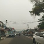 Mengulik Potensi Ekonomi Jelutung Jambi, dari Perdagangan hingga Sektor Jasa