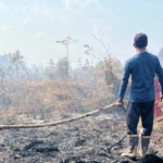 Karhutla Mengintai, Dampaknya Bukan Cuma Kabut Asap