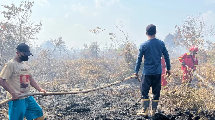 Karhutla Mengintai, Dampaknya Bukan Cuma Kabut Asap