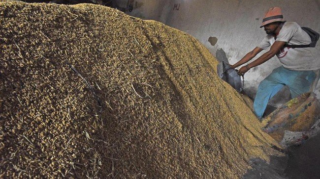 Harga Beras Premium Naik 10 Persen, BPS Ungkap Kondisi Harga di Penggilingan hingga Eceran