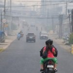 Bukan Cuma Bikin Sesak, Kabut Asap Ancam Ekonomi Warga Jambi