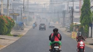 Bukan Cuma Bikin Sesak, Kabut Asap Ancam Ekonomi Warga Jambi