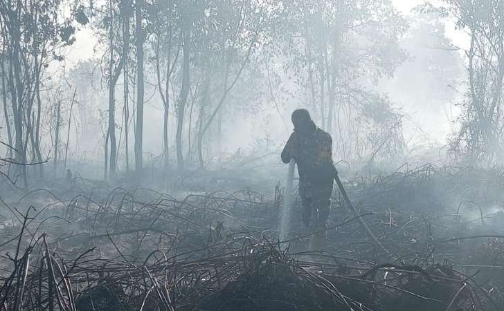 Bukan Cuma Hutan yang Hangus, Karhutla Ancam Lumpuhkan Ekonomi