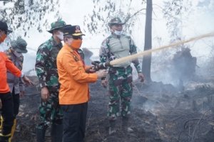 Bukan Cuma Asap, Karhutla Jambi Ancam Pendapatan dari Ribuan Hektare Lahan