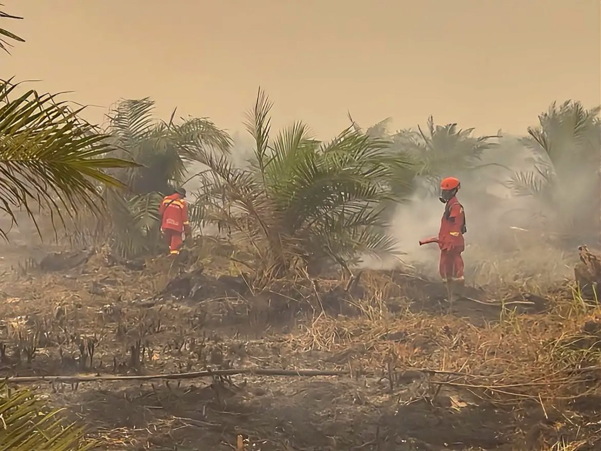 Karhutla Jambi Capai 5.106 Hektare, Asap Ancam Kesehatan dan Aktivitas Ekonomi Warga