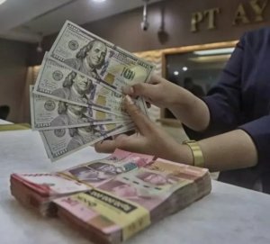 Segini Harga USD di BCA, Mandiri, BRI dan BNI Hari Ini
