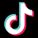 Bersama Seres Grup, TikTok Buat Mobil Listrik Baru, Ini Namanya