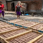 Dari Udang ke Terasi, Begini Rantai Bisnis Lokal di Kuala Tungkal