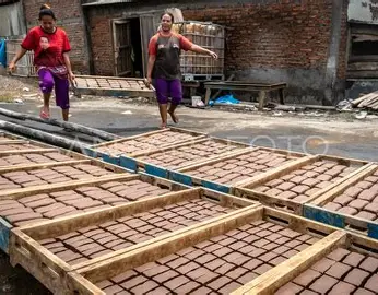 Dari Udang ke Terasi, Begini Rantai Bisnis Lokal di Kuala Tungkal