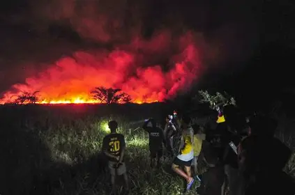 Karhutla dan Kabut Asap Jambi Tekan Aktivitas Bisnis, Sektor Ini Paling Terdampak