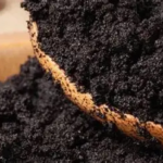 Limbah Kopi hingga Daun Nanas Jambi Tembus Pasar Global