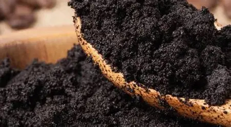 Limbah Kopi hingga Daun Nanas Jambi Tembus Pasar Global