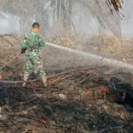 Kualitas Udara Jambi Memburuk, Asap Karhutla Mulai Ancam Aktivitas Ekonomi