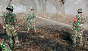 Kualitas Udara Jambi Memburuk, Asap Karhutla Mulai Ancam Aktivitas Ekonomi